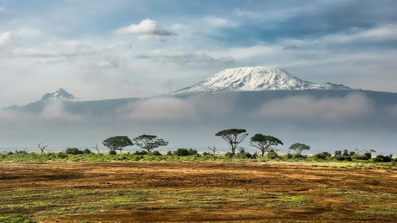 The snow-capped summit of Mount Kilimanjaro and the jagged Mawenzi peak rising above a thick band of cloud, with flat-topped acacia trees scattered across a dry scrub plain in the foreground